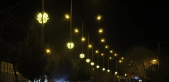 Batman'ın İkiköprü beldesinde lale motifli aydınlatmalarla caddeler ışıklandırıldı
