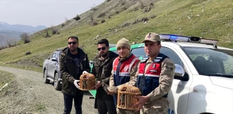 Bitlis'te kaçak avcılara yüksek para cezası