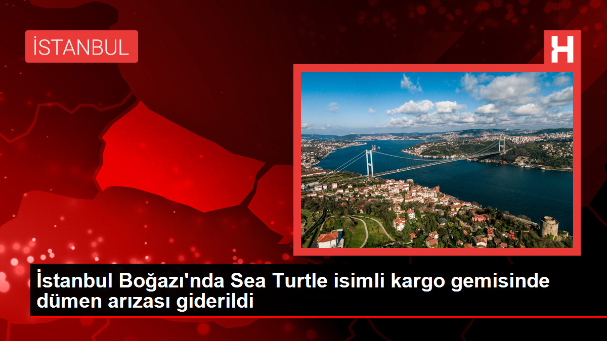 İstanbul Boğazı'nda Sea Turtle isimli kargo gemisinde dümen arızası giderildi