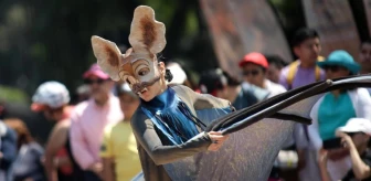 Meksika'da düzenlenen 2024 Orman Festivali'nde sanatçılar yarasa kostümleriyle performans sergiledi