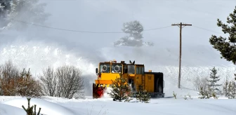 Kars'ın Sarıkamış ilçesinde kar kütleleri ve buz sarkıtları temizleniyor