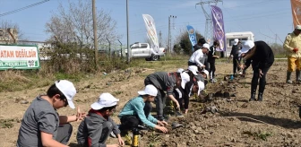 Samsun'da Dünya Ormancılık Haftası kutlamaları