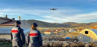 Kayseri'de kayıp 150 koyun dron ile bulundu