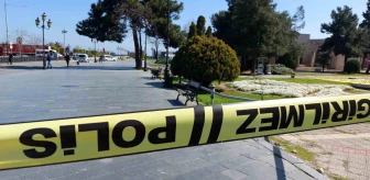 Samsun'da Bankta Unutulan Şüpheli Çantalar Polisi Alarma Geçirdi