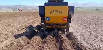 Afyonkarahisar'ın Sandıklı ilçesinde patates ekimi başladı