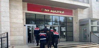 Aydın'da Büyükbaş Hayvan Hırsızları Yakalandı