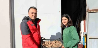 Muğla'da Zerdaçal ve Zencefil Üretimi Artıyor