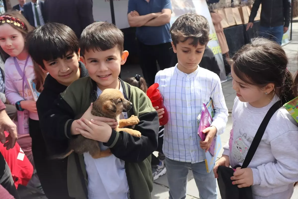 Ünye Belediyesi Sokak Hayvanları İçin Mama Dağıttı
