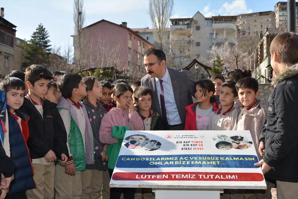 Şemdinli Kaymakamı Ali Ekber Ateş Öğrencilerle Sokak Hayvanları İçin Mama Bıraktı