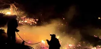 Erzincan'da gece saatlerinde çıkan örtü yangını söndürüldü