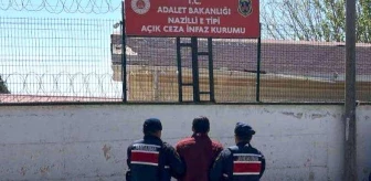 Aydın'da Jandarma Operasyonu: Çok Sayıda Aranan Şahıs Yakalandı