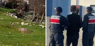 Yaşlı kadının ölümüne sebep olan çoban köpeklerinin sahibi tutuklandı