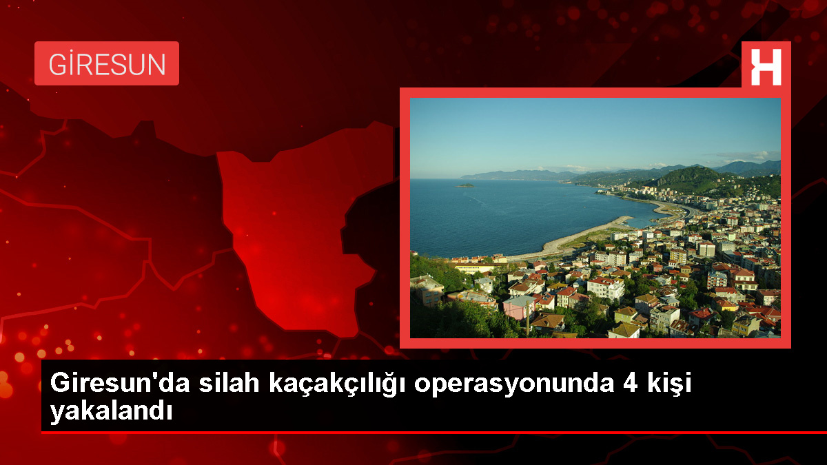 Giresun'da Silah Kaçakçılığı Operasyonu: 4 Gözaltı
