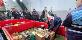 Zonguldak'ta Horoz Dövüşü ve Kumar Operasyonu: 41 Kişiye Para Cezası