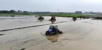Çin'de İnsansız Çeltik Tarımı Yaygınlaşıyor