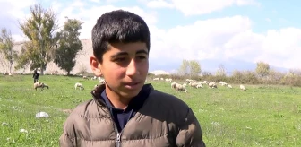 Aydın'da Genç Çobanın Koyun Sevgisi