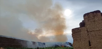 Adana'da saman balyalarının bulunduğu alanda yangın çıktı