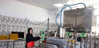 Oltulu Kadın Girişimci Ayşe Avcı, Arı Ürünleri Fabrikasının İlk İhracatını Azerbaycan'a Yaptı