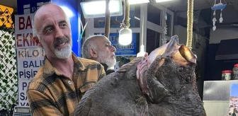 Sinop'ta 12 Kilogramlık Kalkan Balığı 14 Bin 500 Liraya Satıldı