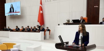 CHP Milletvekili Gamze Akkuş İlgezdi, Bakanın Giyim Yardımı Rakamlarını Eleştirdi