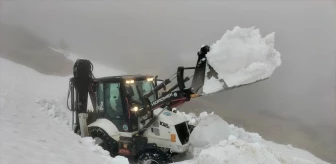 Giresun'da kar nedeniyle yayla yolları ulaşıma açılıyor