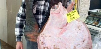 Akçakoca'da 3,5 Kilogramlık Kalkan Balığı Satışa Sunuldu