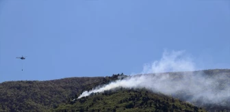 Bursa'da Uludağ'ın eteklerinde çıkan orman yangını kontrol altına alındı