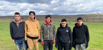Edirne'de 5 Mısır uyruklu düzensiz göçmen yakalandı