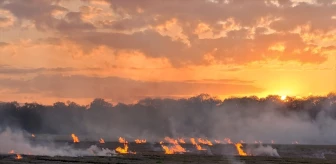 Samsun'da çıkan tarım arazisi yangını söndürüldü