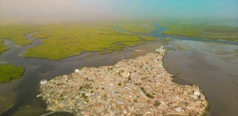 Senegal'deki Deniz Kabuğu Adası