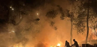 Antalya'da çıkan yangın 150 arı kovanına zarar verdi