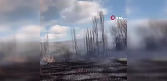 Çankırı'da arazi yangını