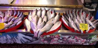 Trabzon'da Balık Tezgahlarında Kültür Balıkları Yoğunlukta