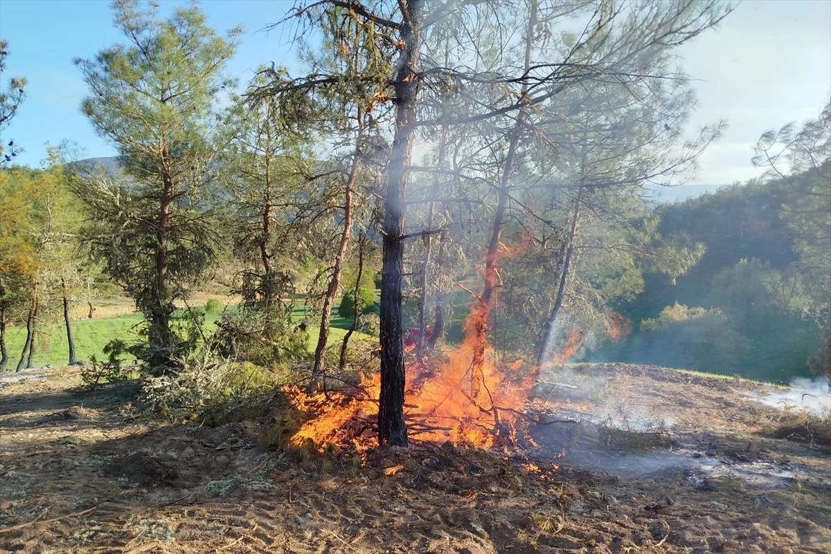Sinop'un Boyabat ilçesinde ormanlık alanda çıkan yangın söndürüldü