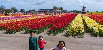 Hollanda'da Tulipmania etkinliği turistleri cezbediyor