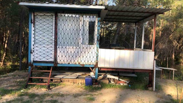 Antalya'da Karı Koca Ormanlık Alanda Ölü Bulundu