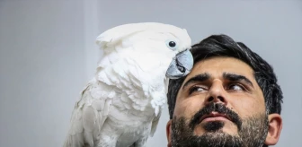 Bursa'da Bir Ailenin İlginç Papağanı Sosyal Medyada İlgi Görüyor
