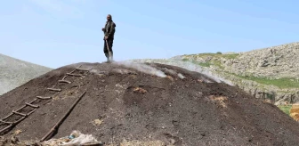 Adana'da Narenciye Ağaçları Mangal Kömürüne Dönüşüyor