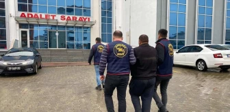Edirne'de izinsiz kenevir ekimi suçundan aranan zanlı yakalandı