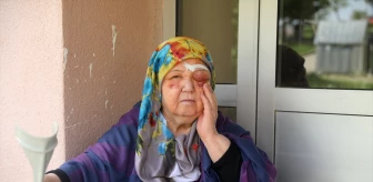 Edirne'de sahipsiz köpeklerin saldırısından kaçarken düşen yaşlı kadın yaralandı