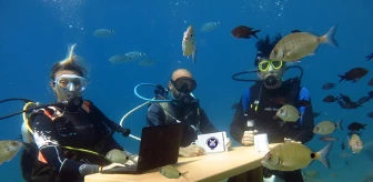 Fethiye'de dalgıçlar su altında turizm sezonunu değerlendirdi