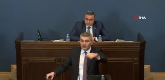 Gürcistan parlamentosunda yumruklu kavga