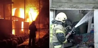 Kırım'da terk edilmiş hayvanat bahçesinde çıkan korkunç yangında 200'den fazla Hayvan hayatını kaybetti