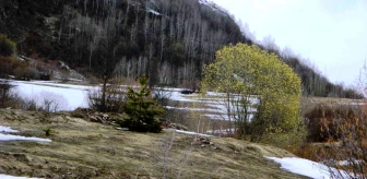 Ardahan'ın Posof ilçesinde iklim değişikliği hissediliyor