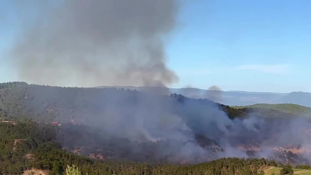 Sinop Boyabat'ta Orman Yangını