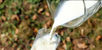 Süt fiyatları ne kadar oldu 2024? Çiğ süte zam geldi mi?
