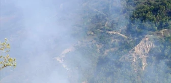 Tokat'ın Niksar ilçesinde ormanlık alanda çıkan yangın söndürüldü