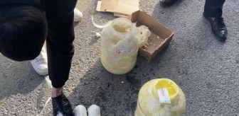 Uşak'ta Peynir Bidonlarında Skunk Ele Geçirildi