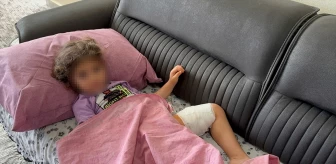 Adana'da Rottweiler Köpeğinin Saldırısı Sonucu Yaralanan Çocuk Taburcu Edildi