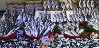 Ramazan Ayında Boşalan Balık Tezgahları Olta Balıklarıyla Süslendi